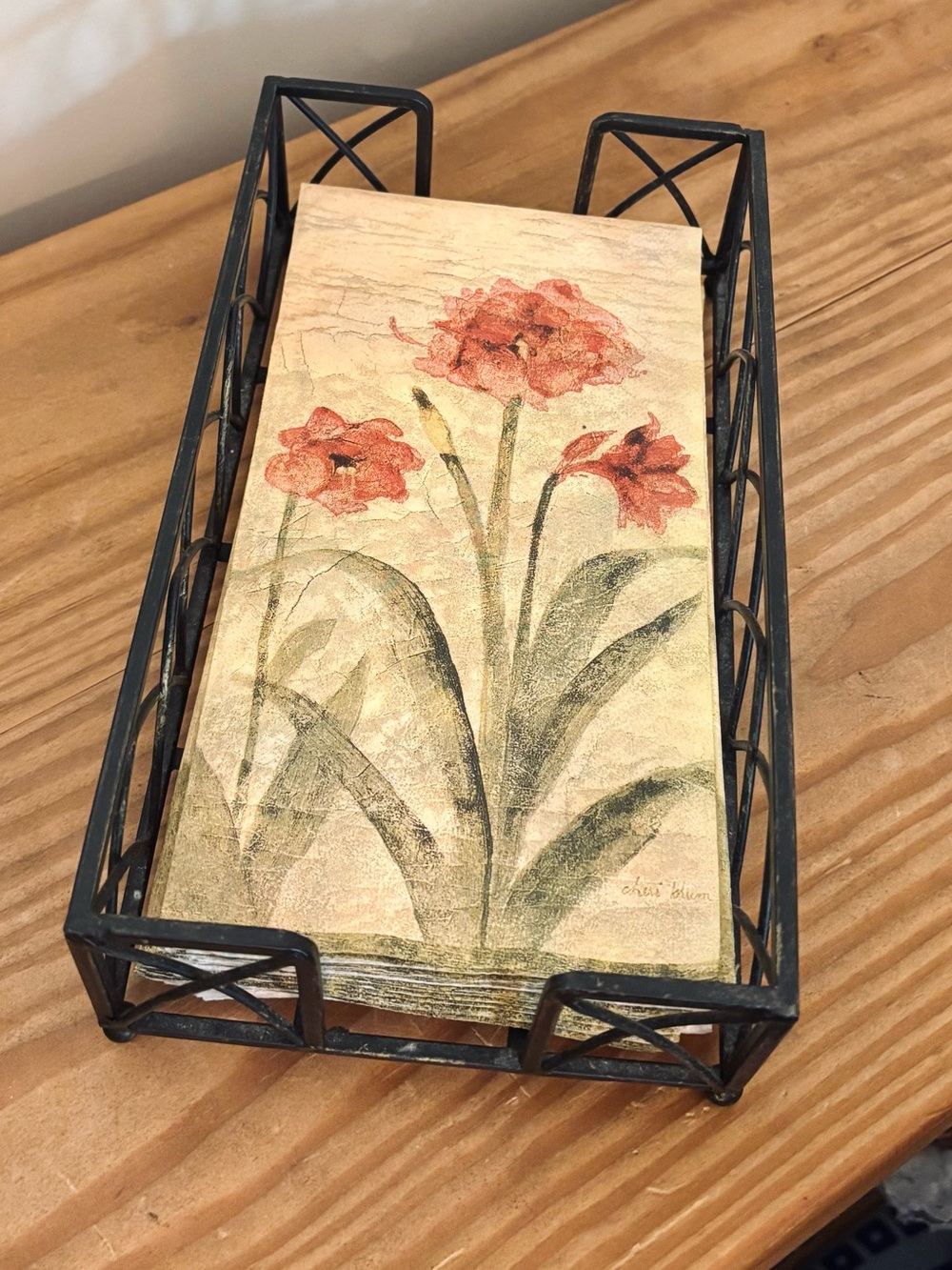 💥 Boston International Metal Napkin Holder & Cheri Blum Napkins
